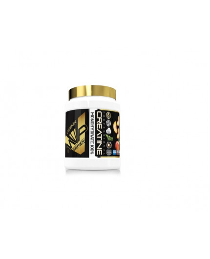 CREATINA MICRO 200 MESH MELOCOTON 500 g