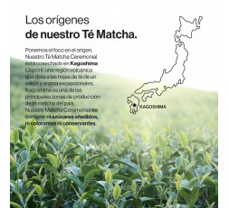 ZN- TÉ MATCHA JAPONÉS ECOLÓGICO Grado Ceremonial - 80 g 80 dosis
